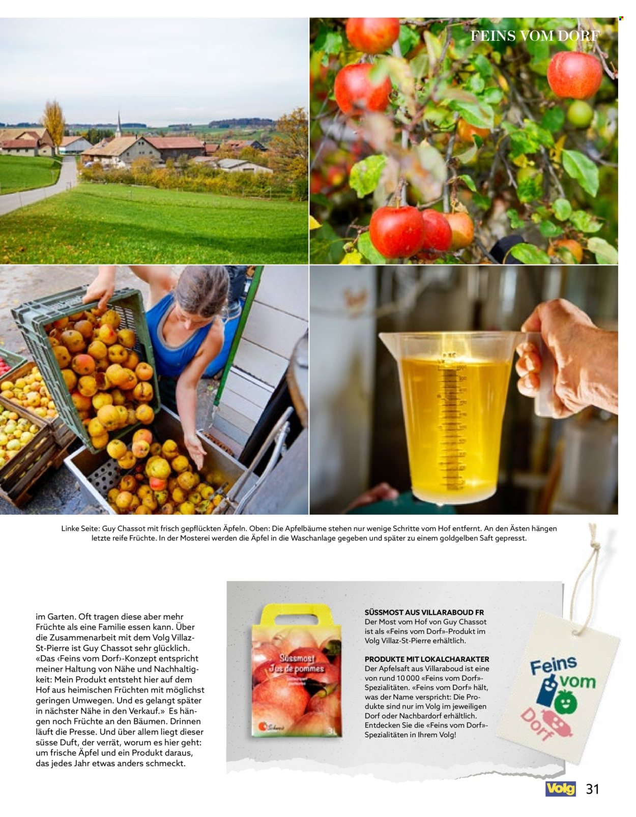Volantino Volg - 1.10.2026 - 31.10.2026. Pagina 31. Pagina 31