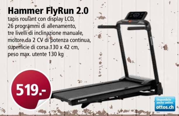 Hammer FlyRun 2.0