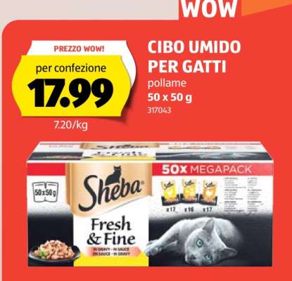 CIBO UMIDO PER GATTI